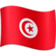 flag-tn