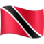 flag-tt