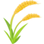ear of rice