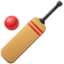 cricket bat and ball