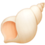 shell