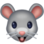 mouse