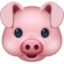 pig