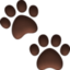 feet