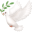 dove