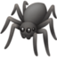 spider