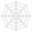 spider web