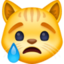 crying cat face