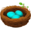 nest with eggs