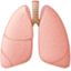 lungs