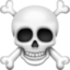 skull and crossbones