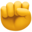 fist