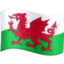 Facebook FLAG WALES