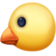 🐤