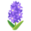 Google HYACINTH