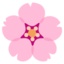 Cherry Blossom Google Noto emoji