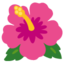 Hibiscus Google Noto emoji