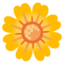 Blossom Google Noto emoji