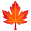 Maple Leaf Google Noto emoji