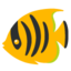 Tropical Fish Google Noto emoji