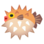 Pufferfish Google Noto emoji