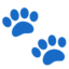 Paw Prints Google Noto emoji