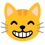 Grinning cat with smiling eyes Google Noto emoji