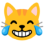 Cat with tears of joy Google Noto emoji