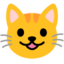 Grinning cat Google Noto emoji