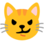 Cat with wry smile Google Noto emoji