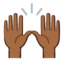 Raising Hands Google Noto emoji