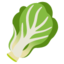 Leafy Green Google Noto emoji