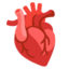 Anatomical heart Google Noto emoji