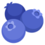 Blueberries Google Noto emoji