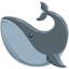 Эмодзи 🐋 Messenger