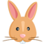 Эмодзи 🐰 Messenger