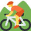 🚵
