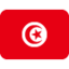 Flag: Tunisia Twitter/X emoji