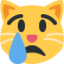Crying cat Twitter/X emoji