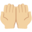 両手を上向きに（やや明るい肌色） (Twitter)