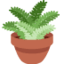 Potted Plant Twitter/X emoji