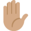 挙手（中間の肌色） (Twitter)