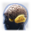 Icon_charisma