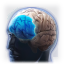 Icon_intelligence