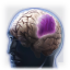 Icon_memory