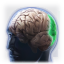 Icon_perception