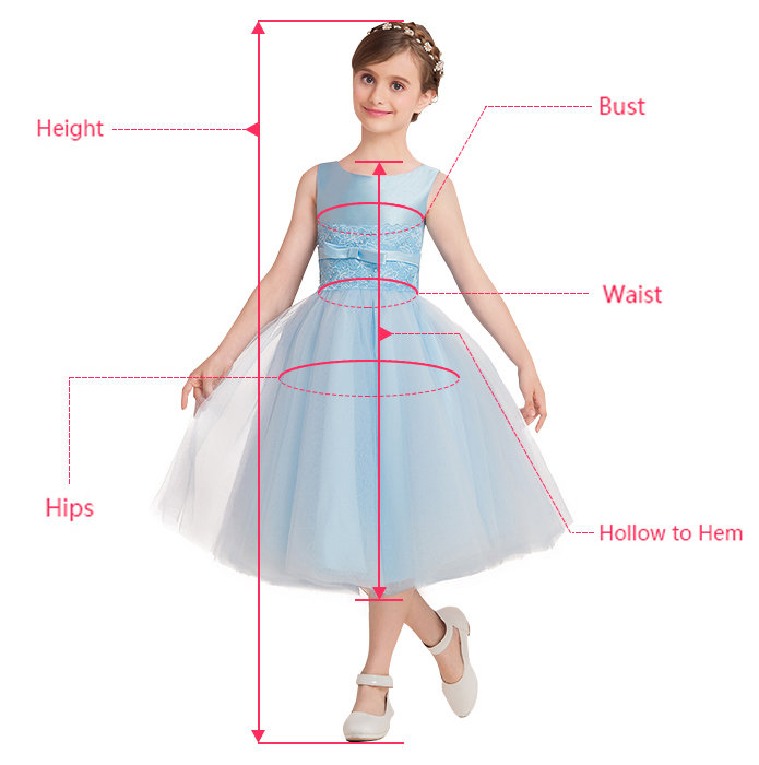 Measurement Illustration