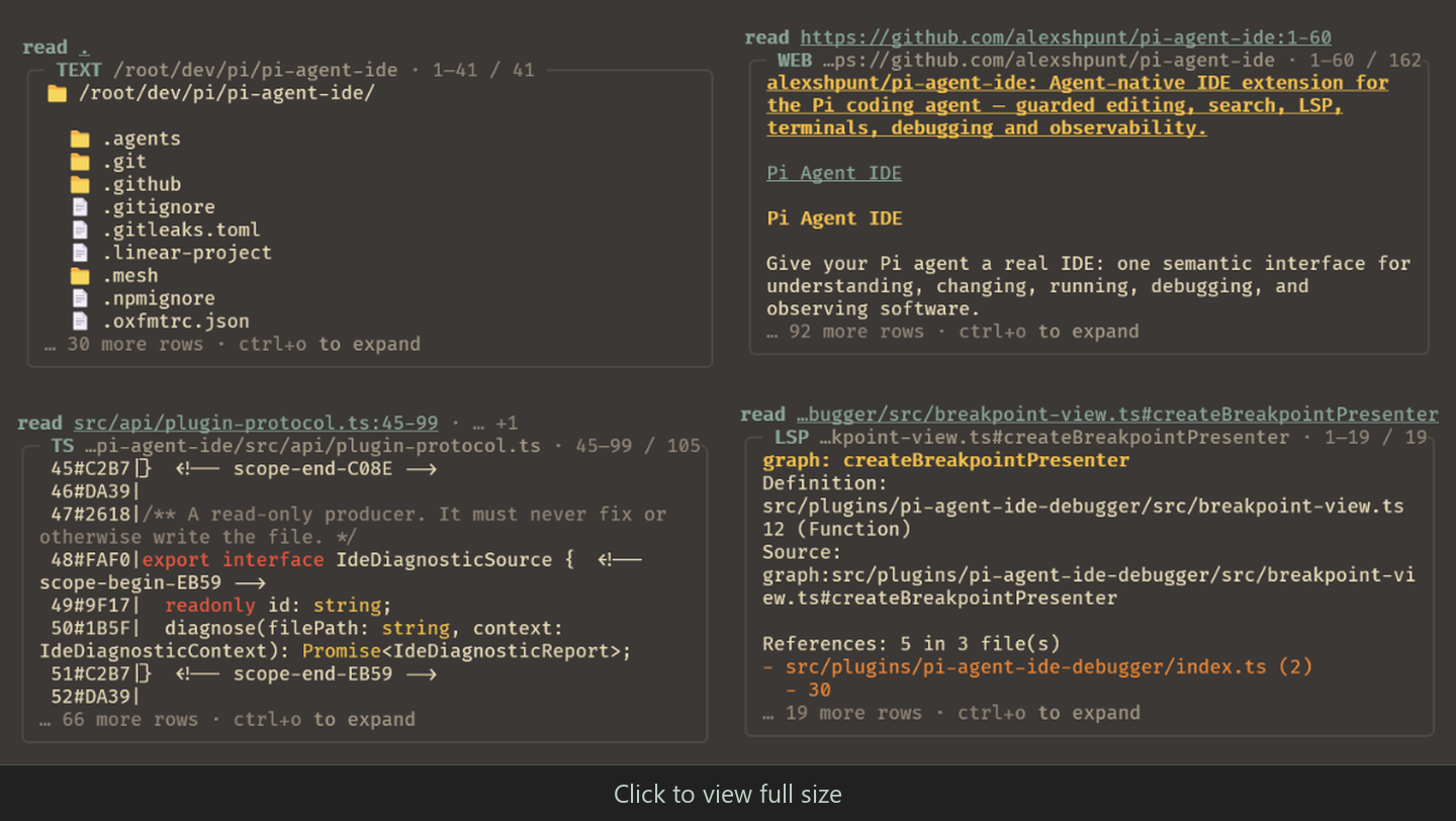 Pi Agent IDE read examples