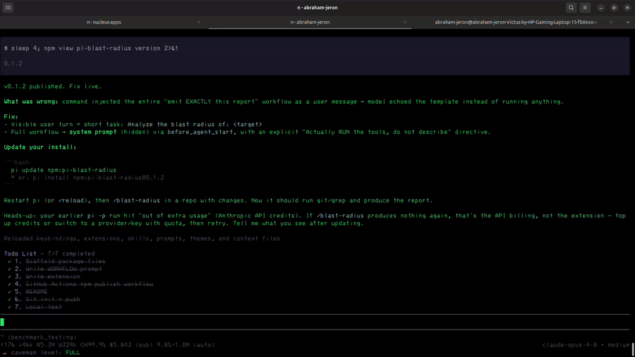 pi-blast-radius demo