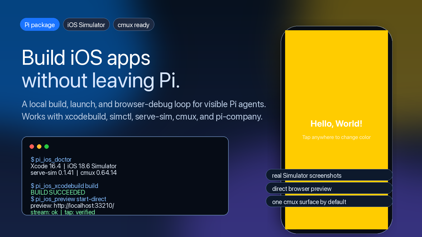 pi-build-ios-apps hero